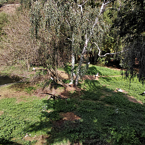 Main bird wetlands exhibit