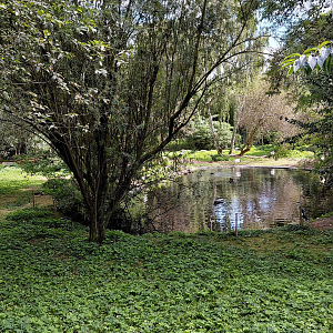 Main bird wetlands exhibit