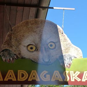 Madagascar pavillion sign -Zoo Plzeň (2025)