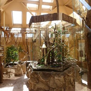 Madagascar house view -Zoo Plzeň (2025)