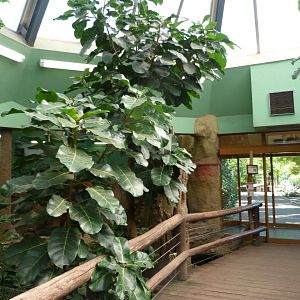 View inside pygmy hippo pavillion -Zoo Plzeň (2025)