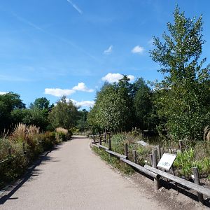 African zone view -Zoo Plzeň (2025)