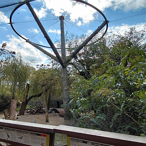 South American aviary