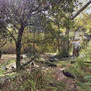 Lednice ponds aviary