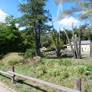 Rothschild's giraffe, Blesbok and Greater kudu exhibit -Zoo Plzeň (2025)