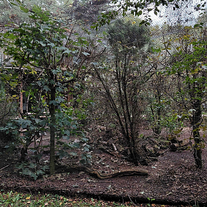 Nature around us - aviary