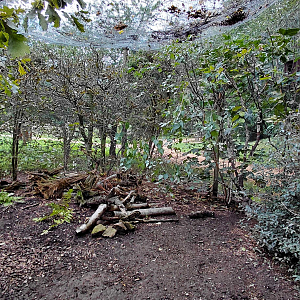 Nature around us - aviary