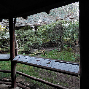 Nature around us - aviary