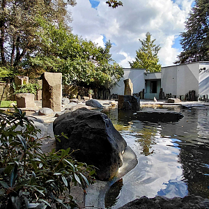 Humboldt penguin outdoor exhibit