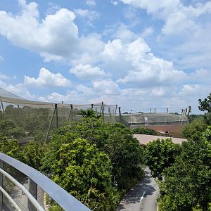 View from the Bridge Between Wings of Asia and Mysterious Papua