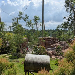 View in Australian Outback