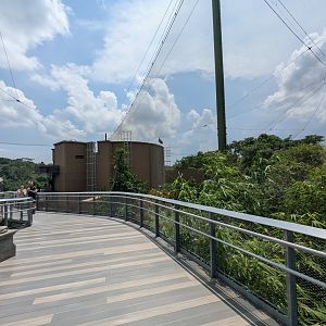 Upper Walkway in Wings of Asia, with Shoebill Visible