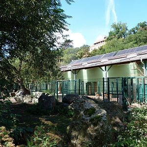 Indian rhinoceros, Blackbuck and Javan rusa exhibit and house -Zoo Plzeň (2025)