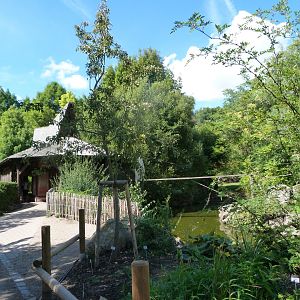 View around lion-tailed macaque exhibit -Zoo Plzeň (2025)
