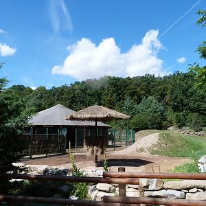 Bactrian camel and Kulan exhibit -Zoo Plzeň (2025)