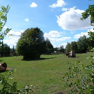 European bison exhibit -Zoo Plzeň (2025)