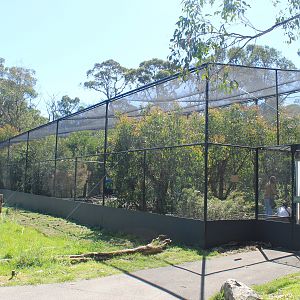 Woodland Aviary exterior