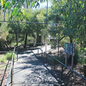 Woodland Aviary interior