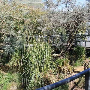 Forest Aviary interior