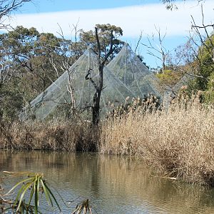 Swamp Aviary exterior