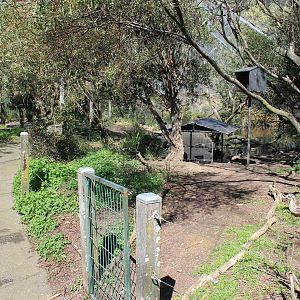 Swamp Aviary interior