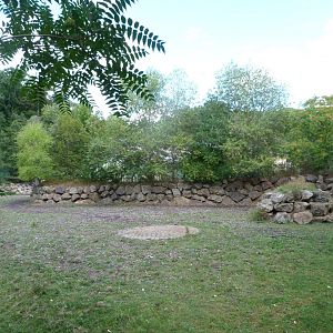 Indian rhinoceros, Blackbuck and Javan rusa exhibit -Zoo Plzeň (2025)