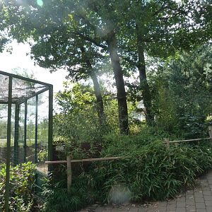 Himalayan red panda exhibit -Zoo Plzeň (2025)