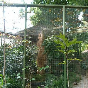 Aviary in front of the Giraffe and Rhino house -Zoo Plzeň (2025)