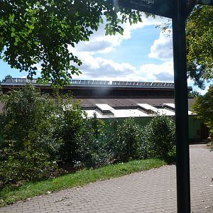 Giraffe and Rhino house view -Zoo Plzeň (2025)