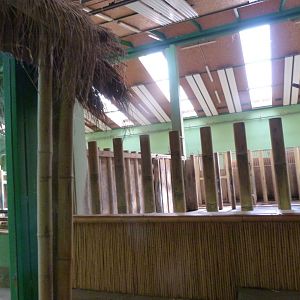 Indian rhinoceros stables -Zoo Plzeň (2025)