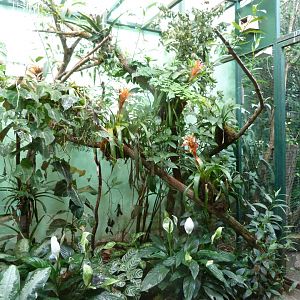 Aviary example within Giraffe and Rhino house -Zoo Plzeň (2025)