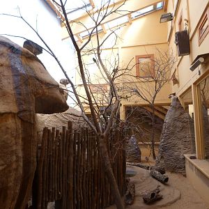 Kopje mixed exhibit -Zoo Plzeň (2025)