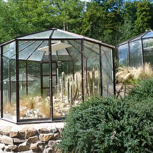 Cactus garden -Zoo Plzeň (2025)