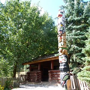 Canadian lynx and Striped skunk viewing area -Zoo Plzeň (2025)