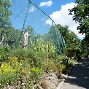 South American aviary -Zoo Plzeň (2025)