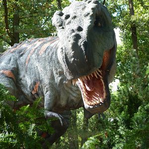Tyrannosaurus rex figure at the DinoPark -Zoo Plzeň (2025)