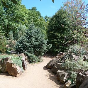 Sonora desert garden -Zoo Plzeň (2025)