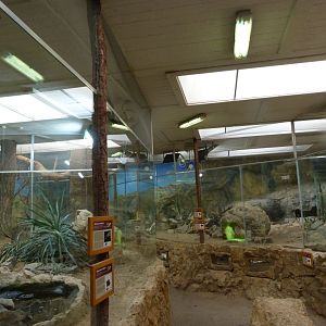 Sonora desert house -Zoo Plzeň (2025)