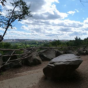 Tule wapiti exhibit viewing area -Zoo Plzeň (2025)