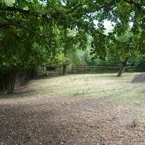 Tule wapiti exhibit -Zoo Plzeň (2025)