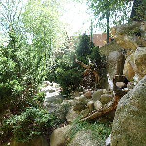 Czech rivers zone -Zoo Plzeň (2025)