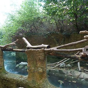 Eurasian otter exhibit -Zoo Plzeň (2025)