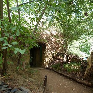 Czech rivers zone -Zoo Plzeň (2025)