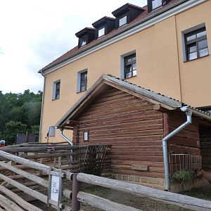 Domestic goat exhibit with the Lüftnerka Farm at the back -Zoo Plzeň (2025)