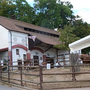 Lüftnerka Farm view with Czech red cattle and Czech coldblood horse paddocks upfront -Zoo Plzeň (2025)