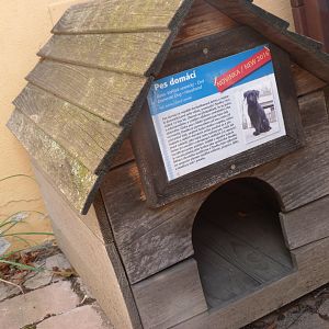 Dog house! -Zoo Plzeň (2025)