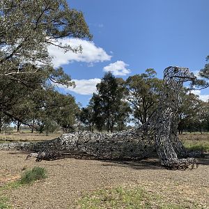 Gum Swamp - Varanus Sculpture