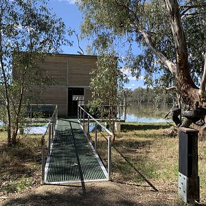 Gum Swamp - Wood Duck Hide