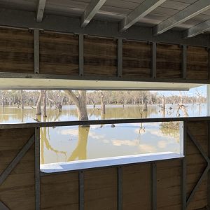 Gum Swamp - Wood Duck Hide Viewing Window