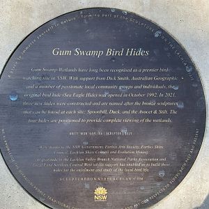 Gum Swamp Hide Signage